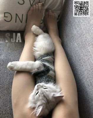日韩网站免费