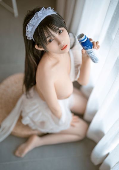 希德尼娅的骑士第二季