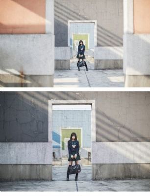 狐狸的第二季免费播放